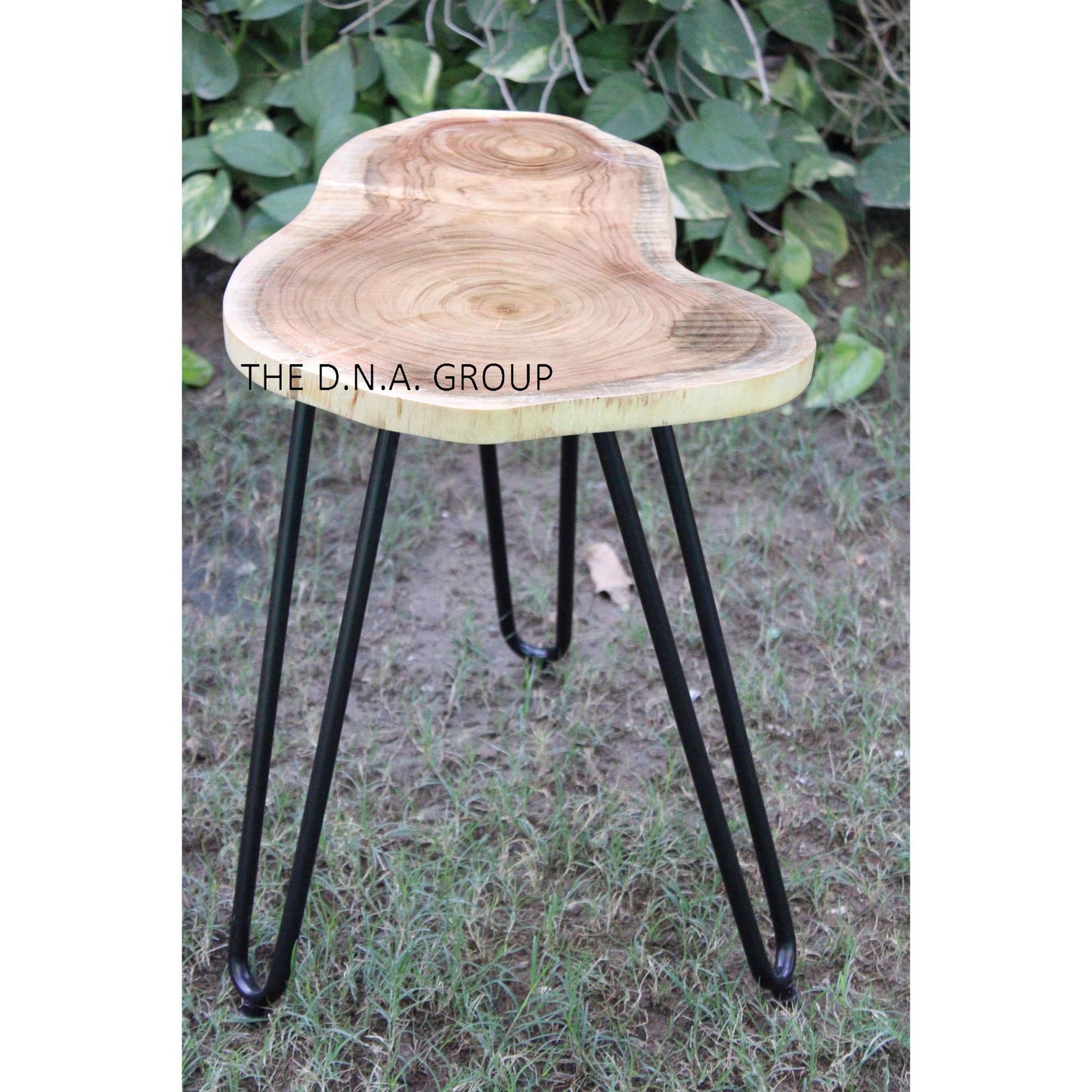 Live Edge Natural Wood Coffee 1 Inch Thickness