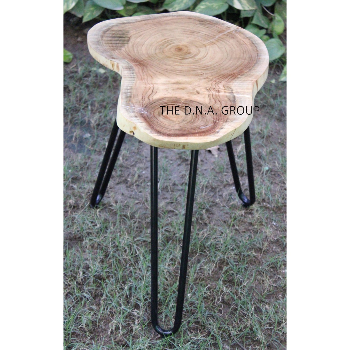 Live Edge Natural Wood Coffee 1 Inch Thickness